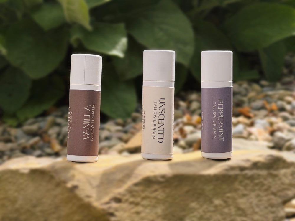 Tallow Lip Balm