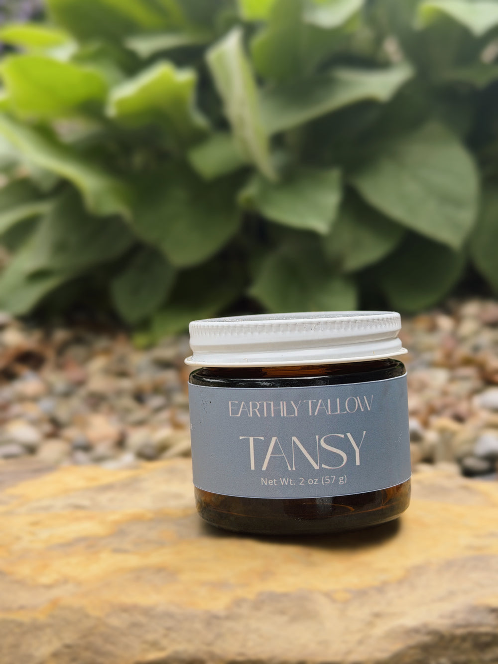 Blue Tansy Tallow Whip
