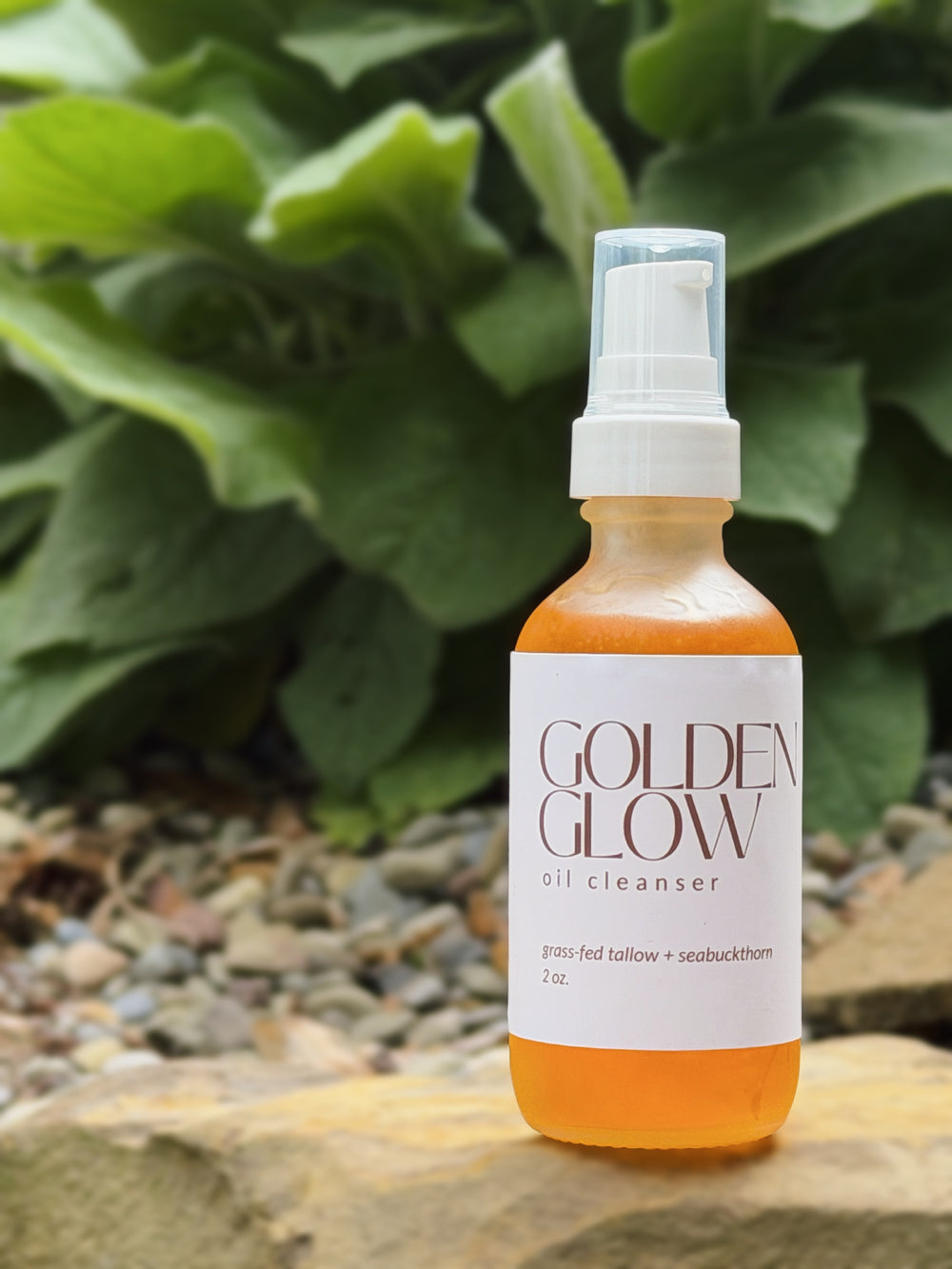 Golden Glow (Tallow + Seabuckthorn Cleanser)