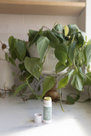 Matcha Stick